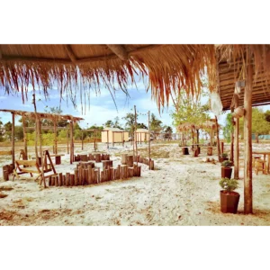 IMG 20241211 111713 edit 3583751897589 converted