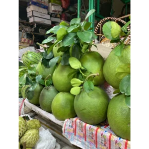 Local Thai sweet green orange