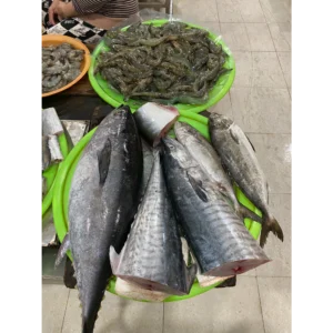 market fresh fish